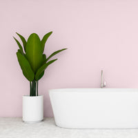 A minimalist bathroom decorated with Quiet Meadow, a purple grey paint from Zhoosh.