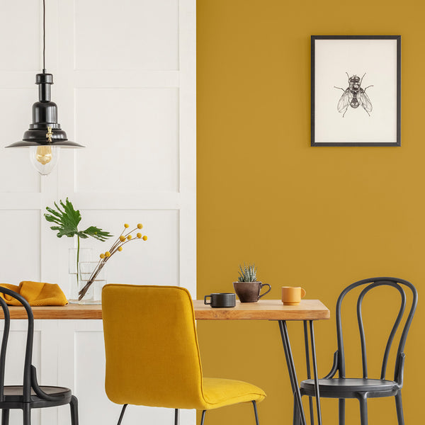 A kitchen decorated with Sundowner, one of the mustard paint colours from Zhoosh Paints.