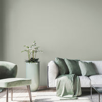 A living room decorated with Through the Mist, an ash grey paint from Zhoosh Paints.