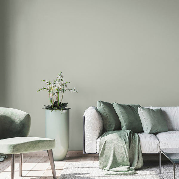 A living room decorated with Through the Mist, an ash grey paint from Zhoosh Paints.