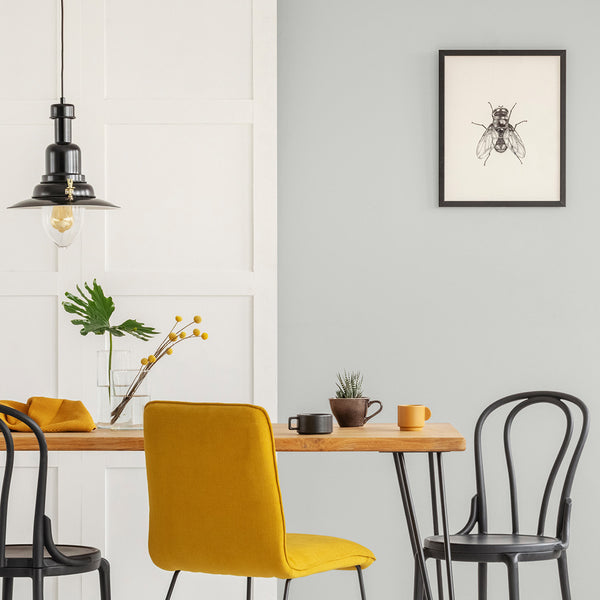 A kitchen decorated with Winter's Morning, a cool grey paint from Zhoosh Paints.